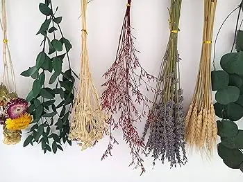 ACHILLEE - [ACHILLEA] - BOUQUET FLEURS SECHEES